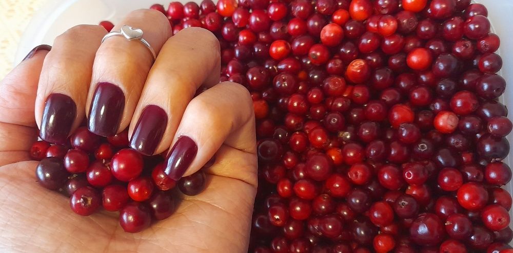 Фотосинтез