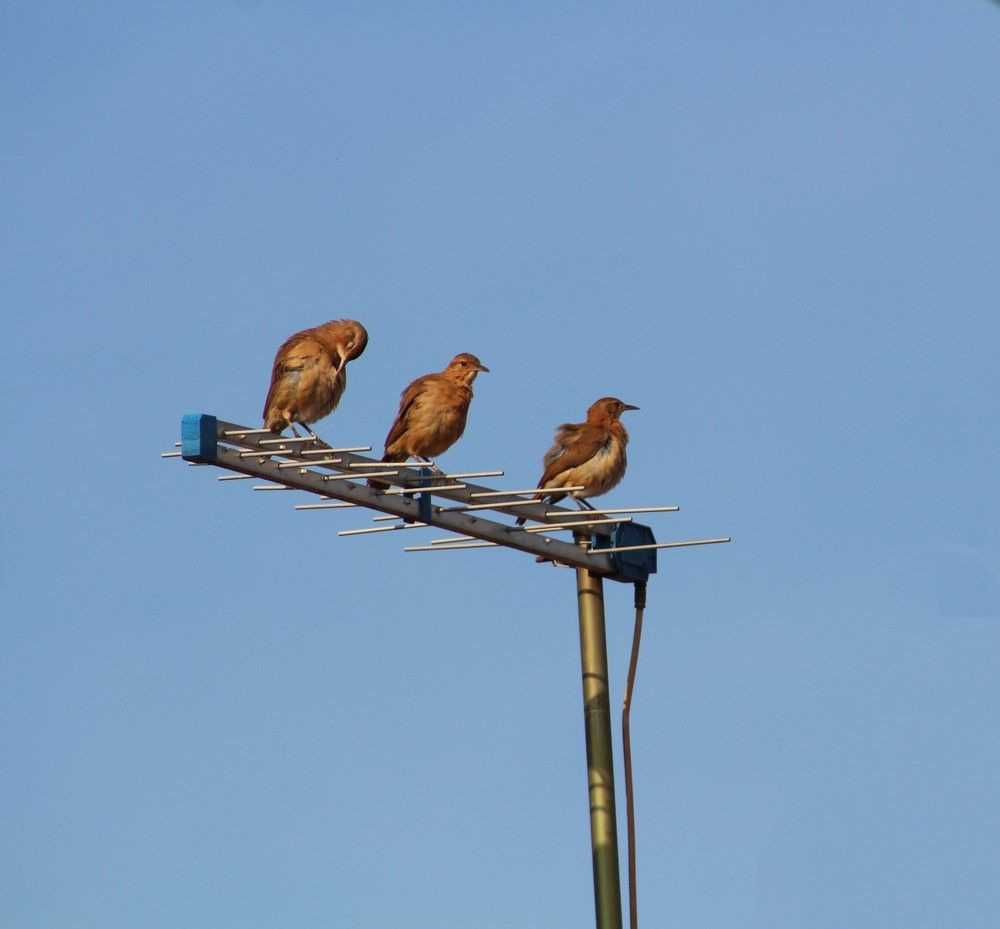 Photograph by Régis Santos