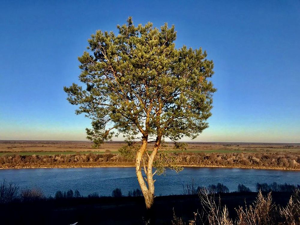 Photograph by Шестакова Наталья