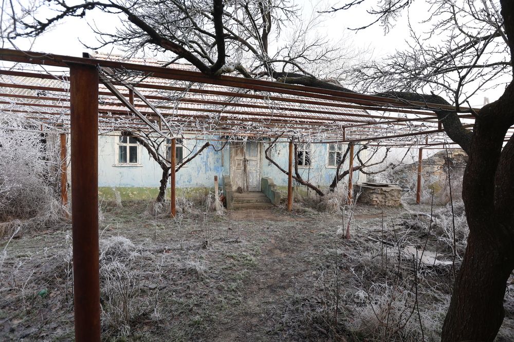 Photograph by Александр Шептикин