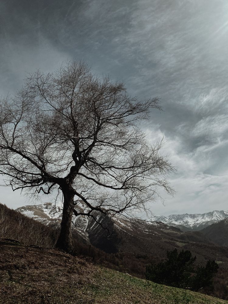 Photograph by Наталия Столяр