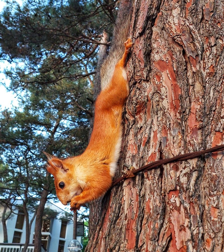 Photograph by Юлия Коробкова