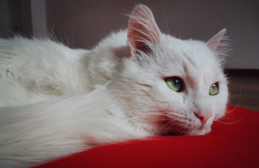 Photograph by Антон Глухов