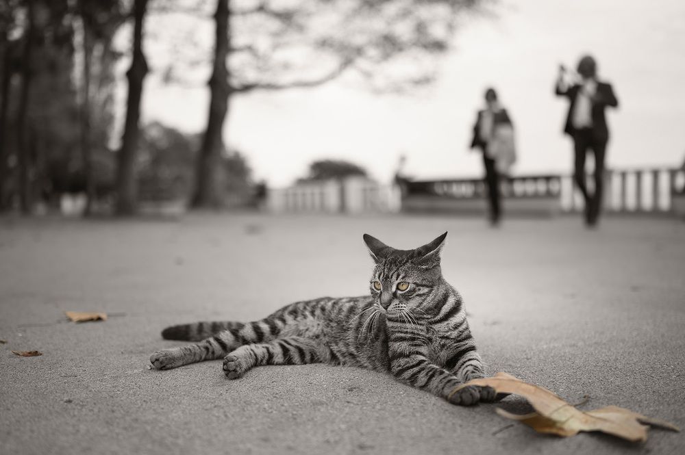 Photograph by Явор Янев