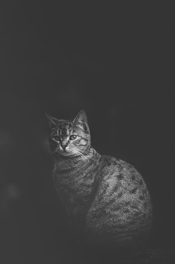 Photograph by Явор Янев