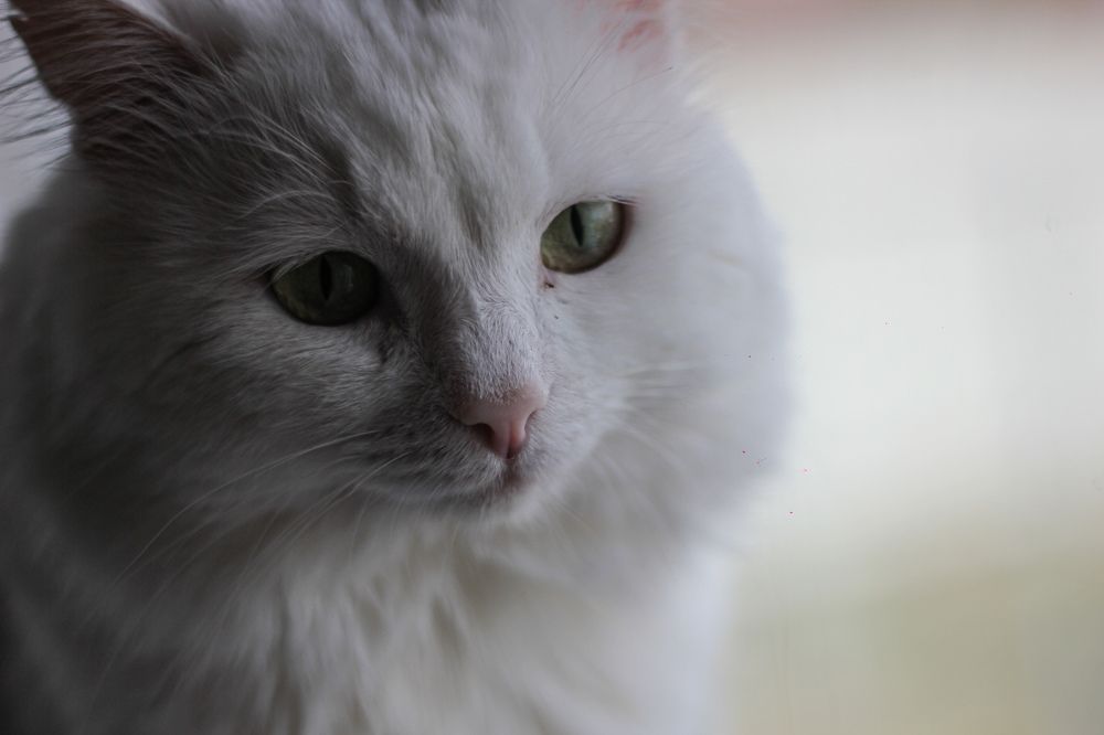 Photograph by Антон Глухов