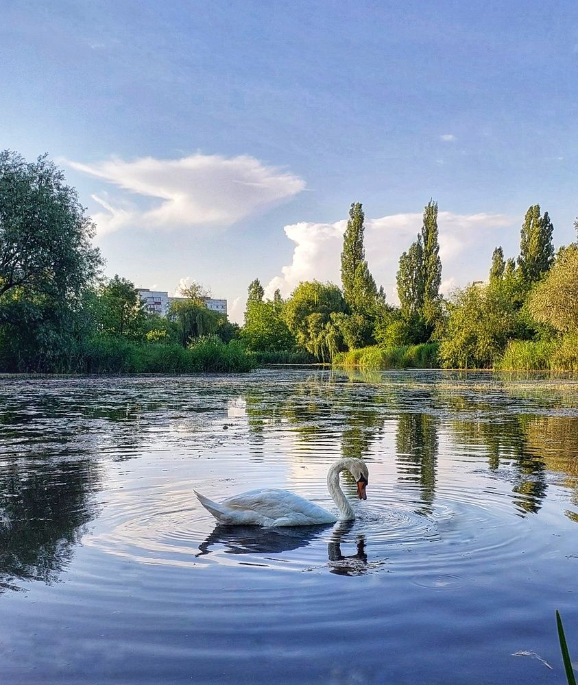 Photograph by Юлия Коробкова