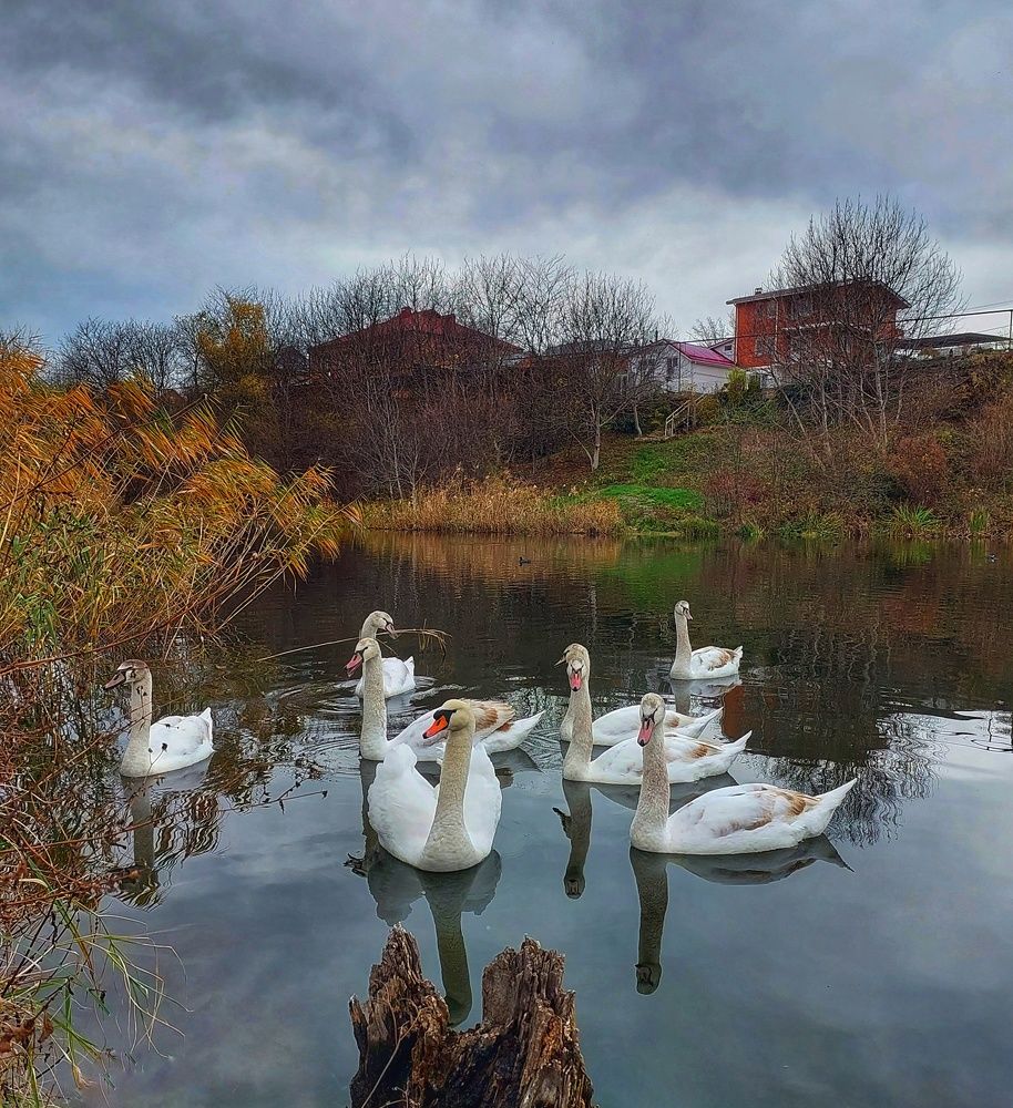 Photograph by Юлия Коробкова