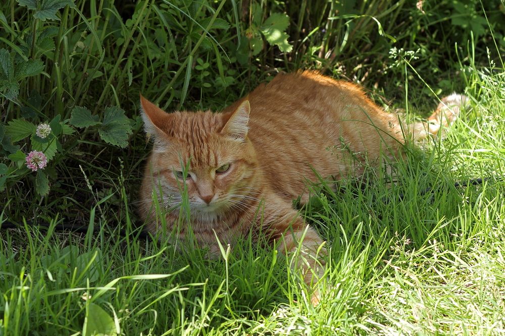 Photograph by Виктор Ноговицин