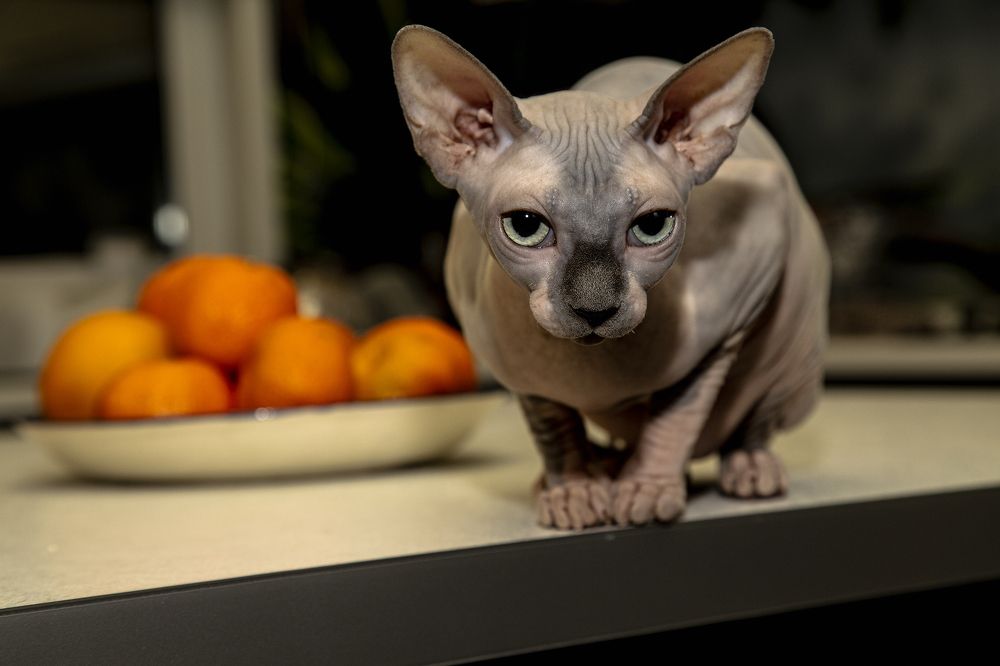 Photograph by Евгений Соколов