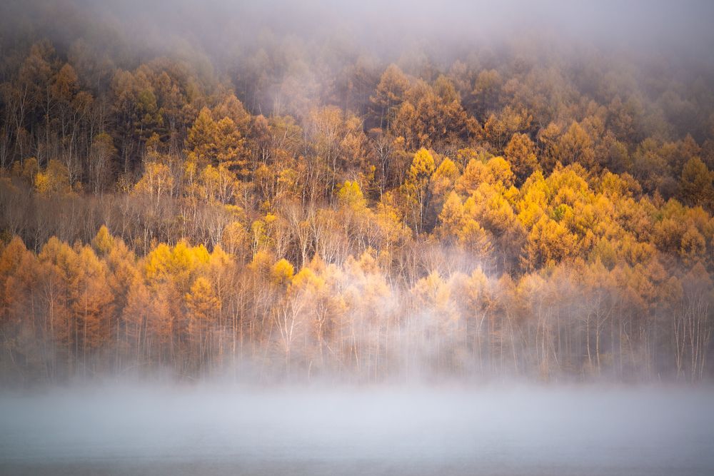 Photograph by 冯 梓钦