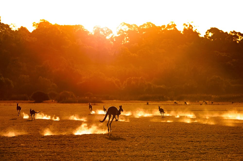 Photograph by Hadriel Torres