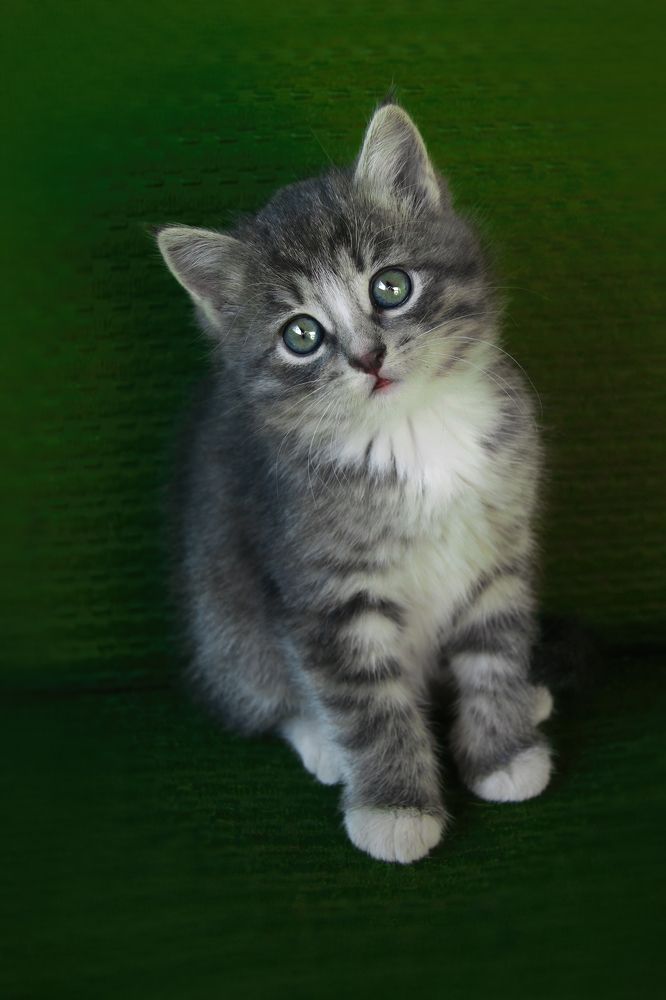 Photograph by Мария Кравченко