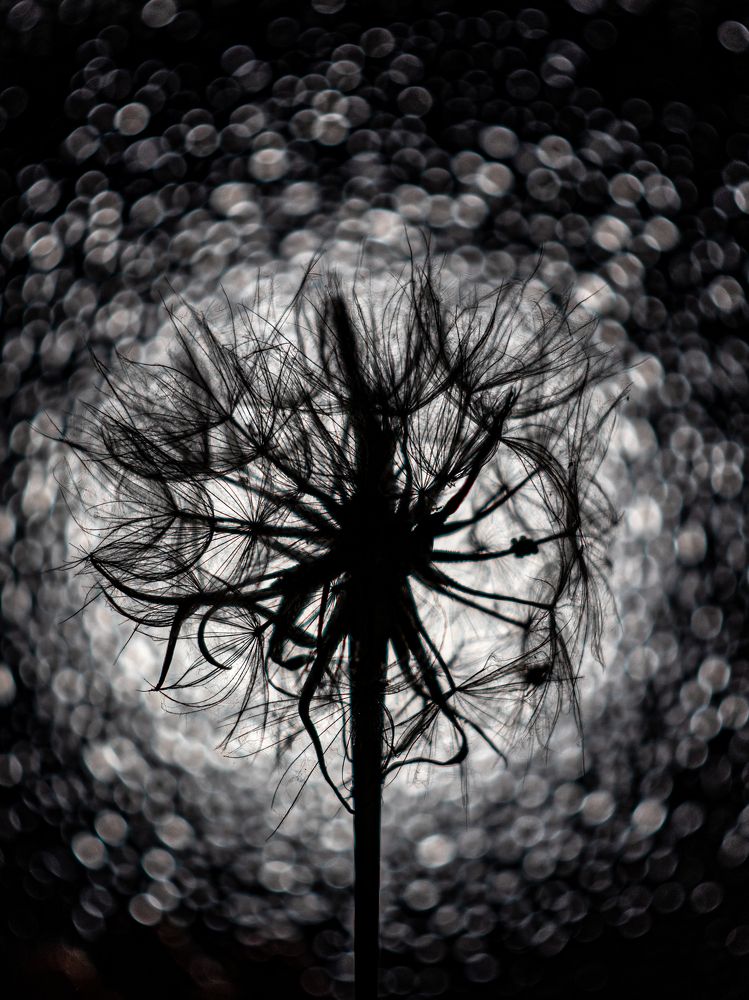 Photograph by Дмитрий Давидов