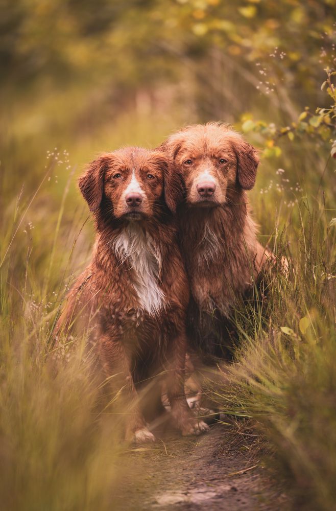 Photograph by Shanna van Mens