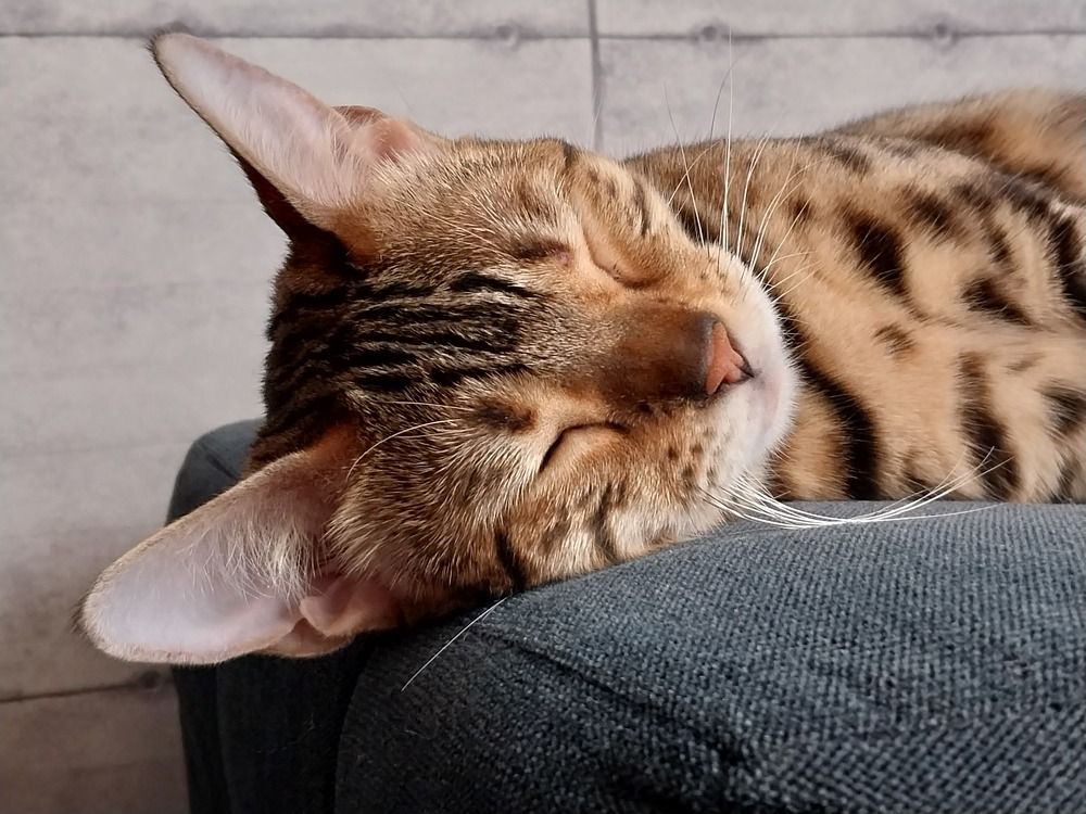 Photograph by Юлия Фирман