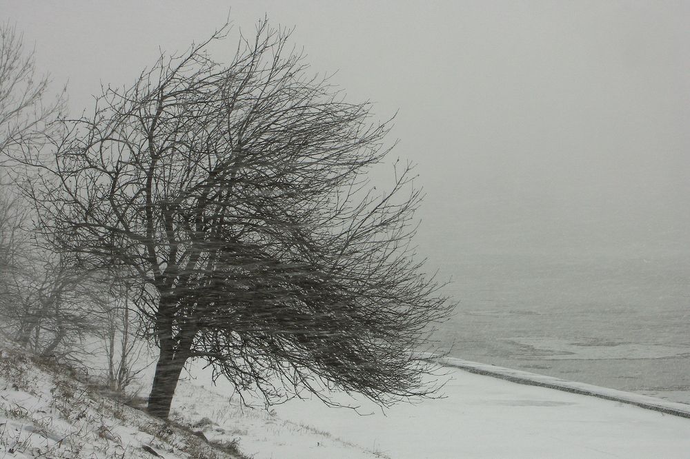 Photograph by Юрий Яковлев