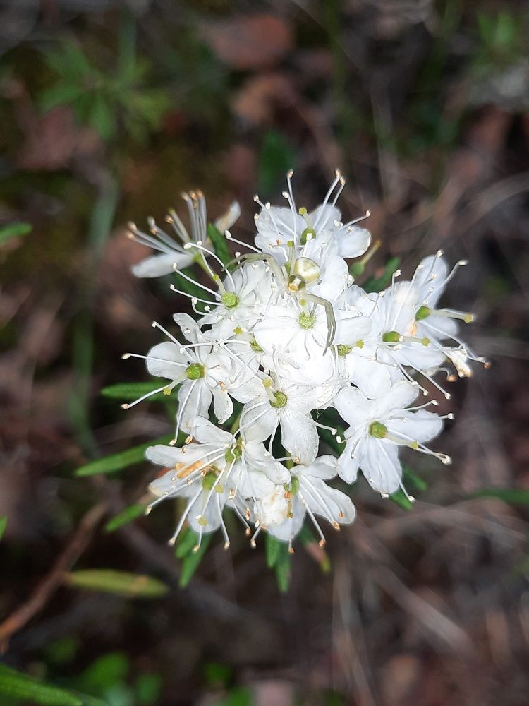 Photograph by Alexandr Klyuev