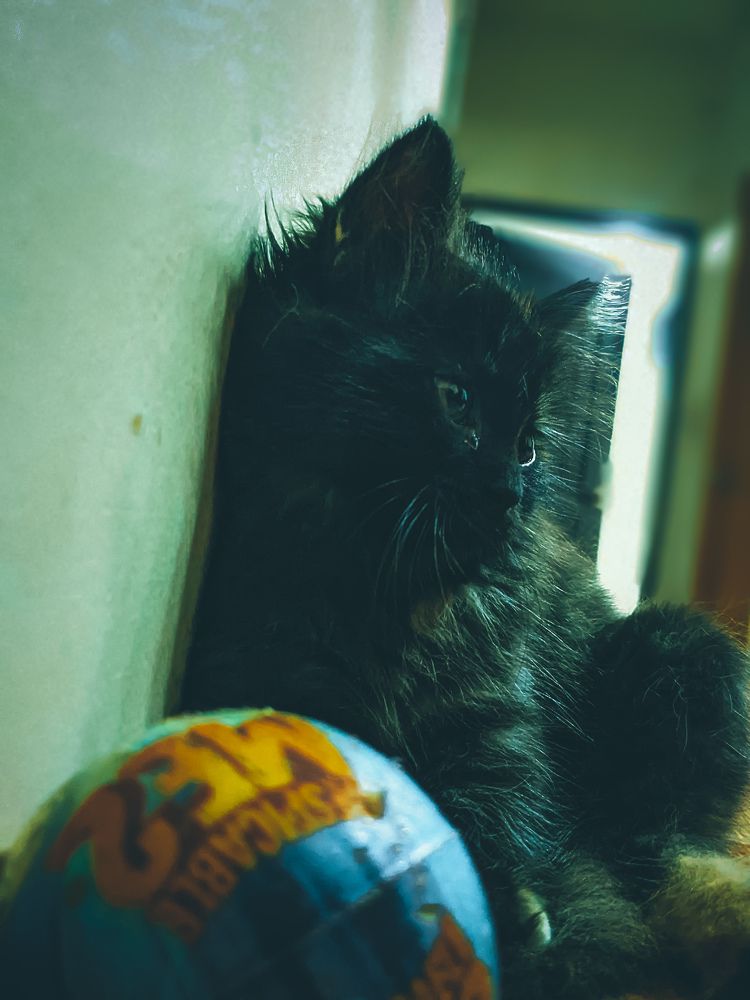 Photograph by Shahed Reza