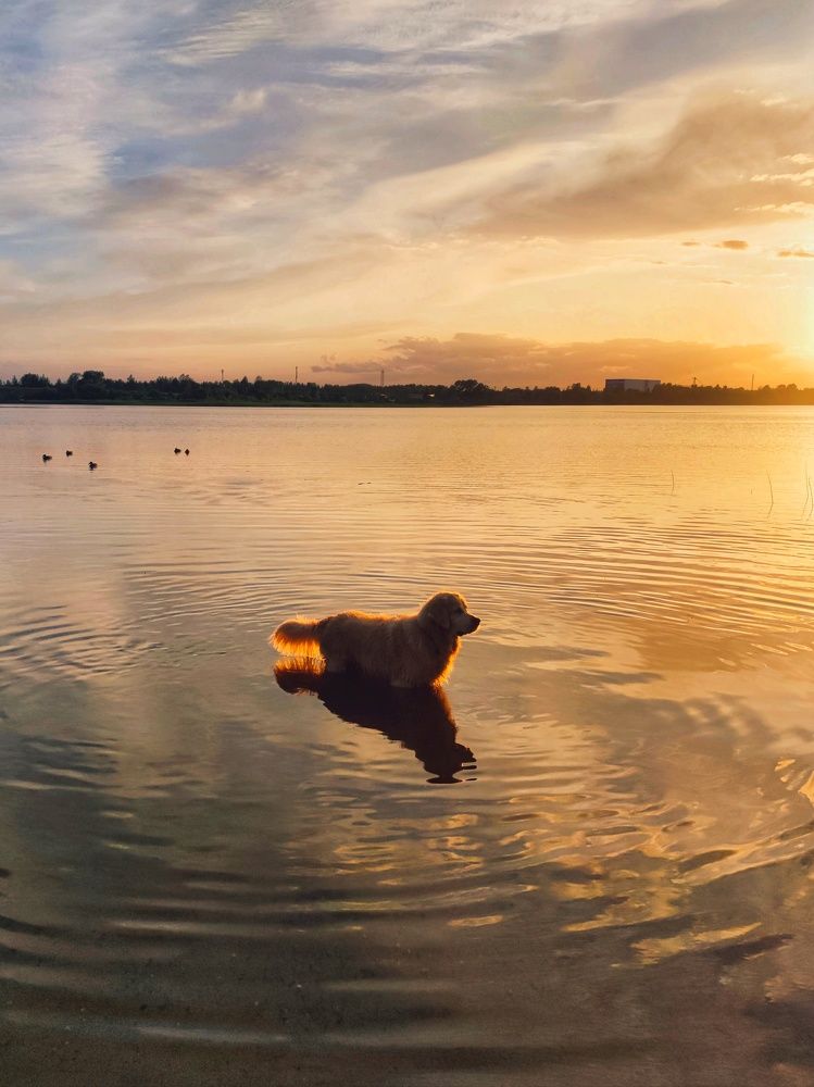 Photograph by Ольга Вороная