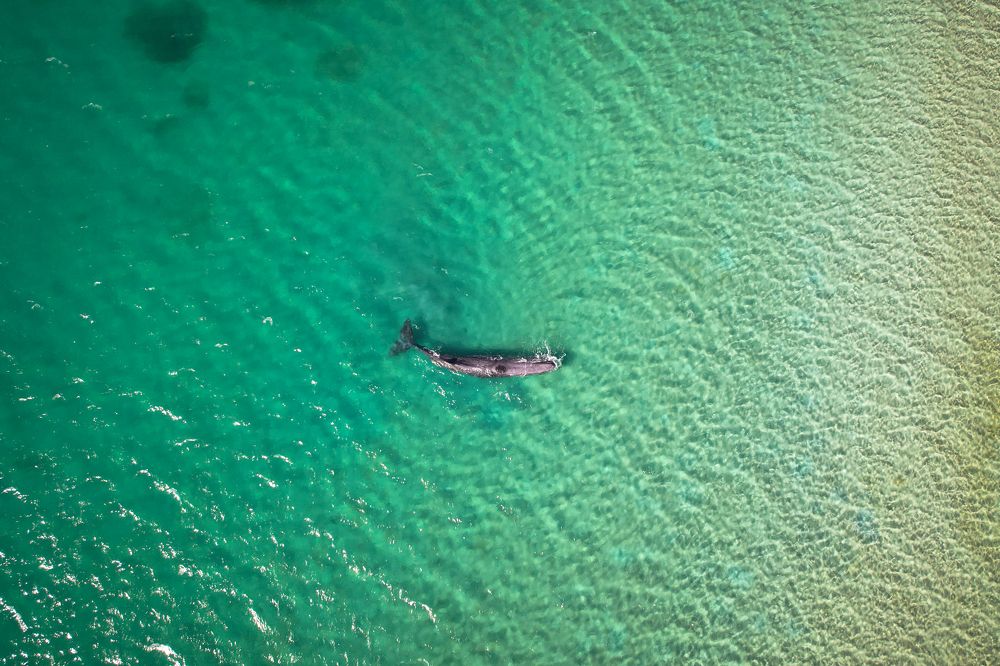 Photograph by Hadriel Torres