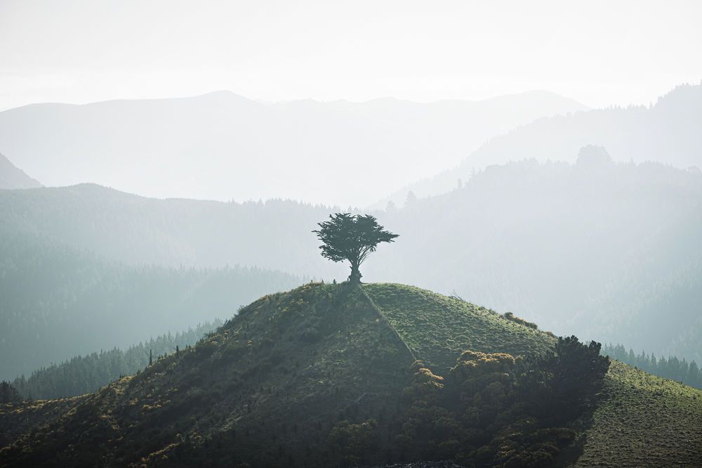 Photograph by Hadriel Torres