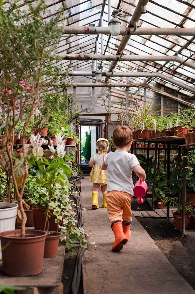 Photograph by Елена Иванова