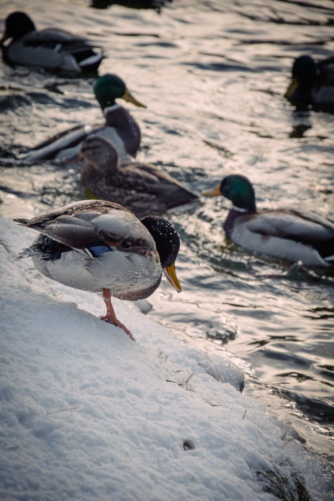 Фотография автора Ксения Вабищевич