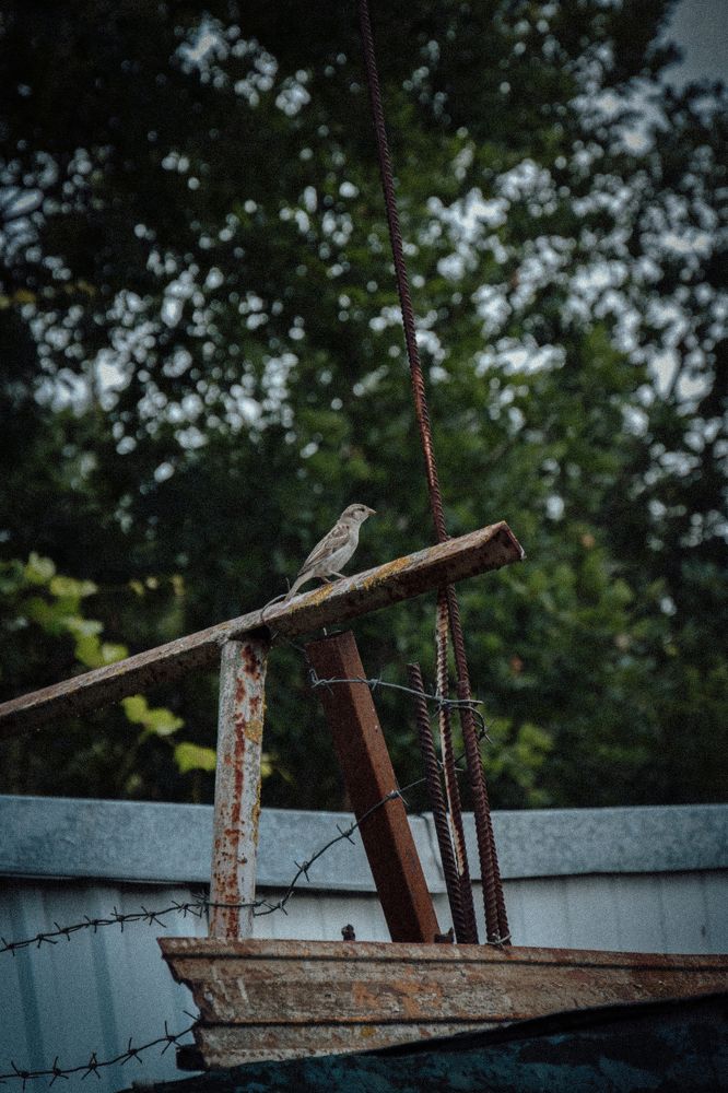 Фотография автора Ксения Вабищевич