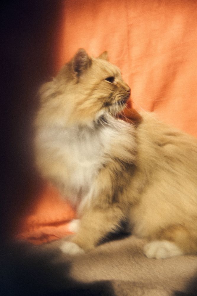 Photograph by Кристина Присакарь