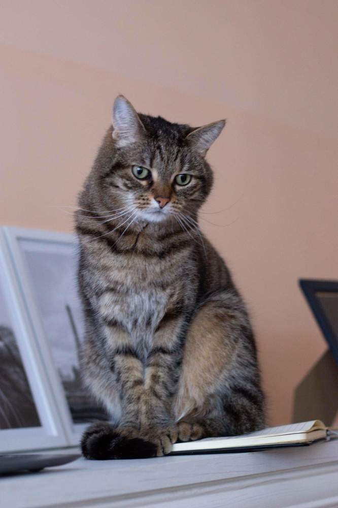 Photograph by Elena Tamošauskaite