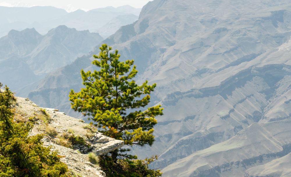 Фотография автора Вадим Жигулин