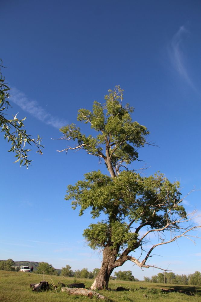 Photograph by Хайбуллина Флора