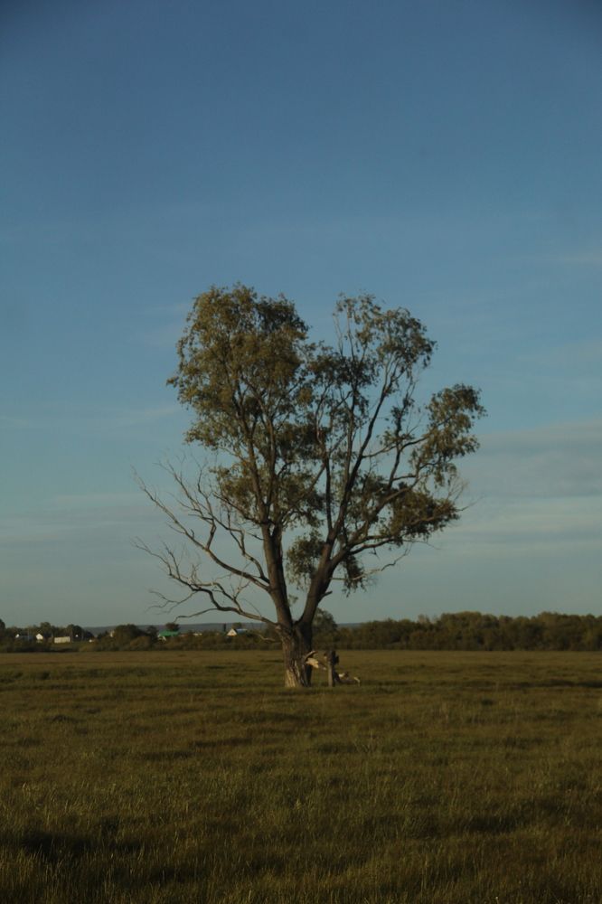 Photograph by Хайбуллина Флора