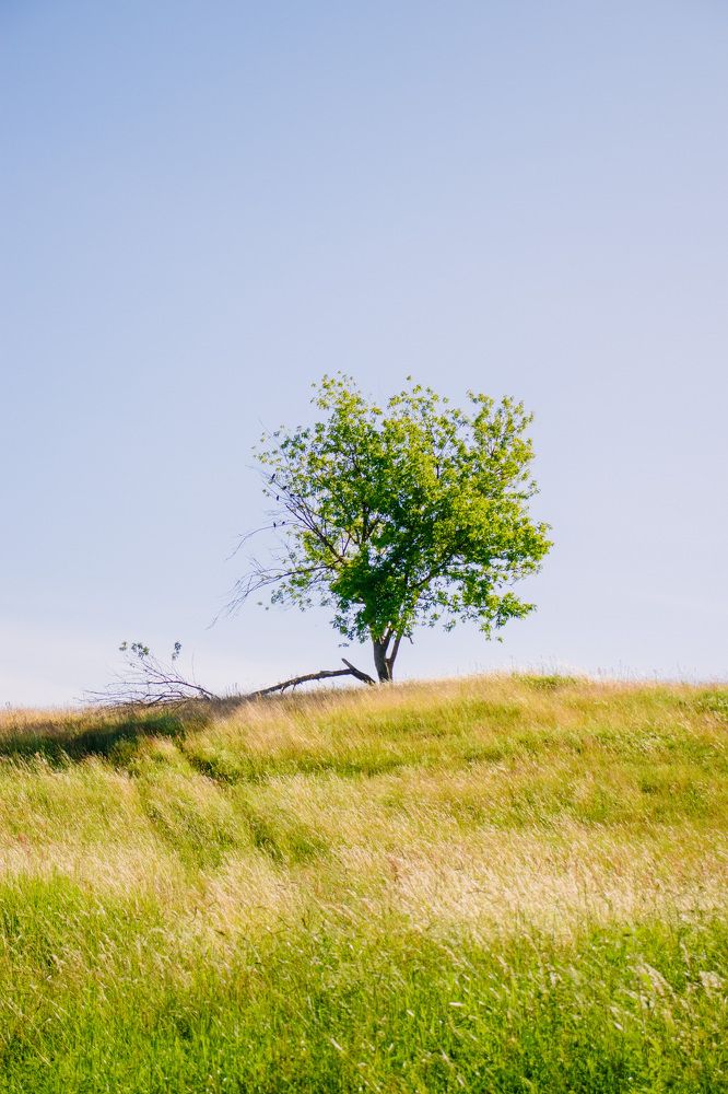 Photograph by Анастасия Тен