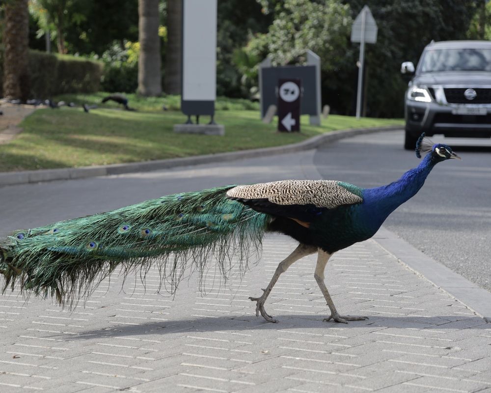 Фотография автора Ирина Мосько