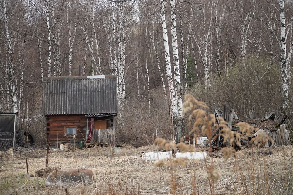 Photograph by Евгения Тупик