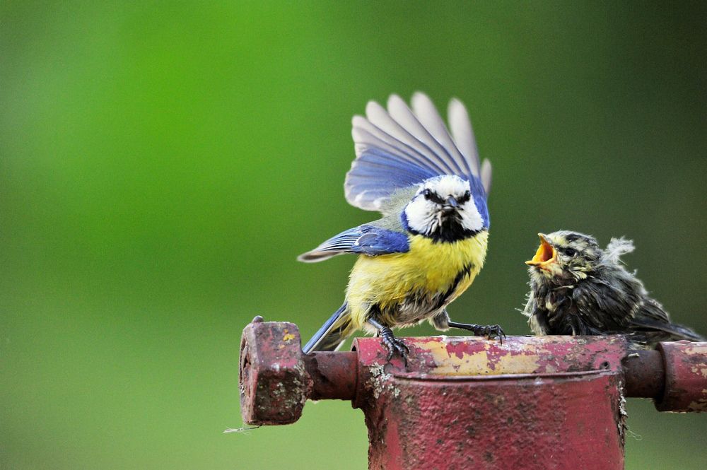 Photograph by Юрий Яковлев