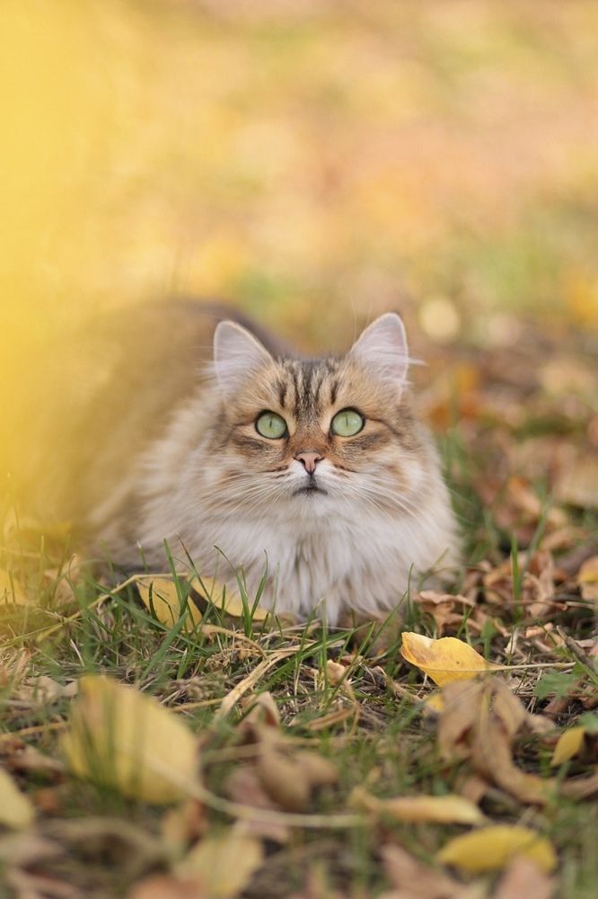 Photograph by Iryna Matvieienko