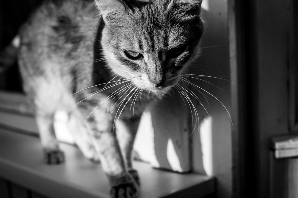 Photograph by Екатерина Ковалева