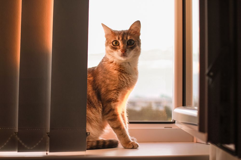 Photograph by Екатерина Ковалева