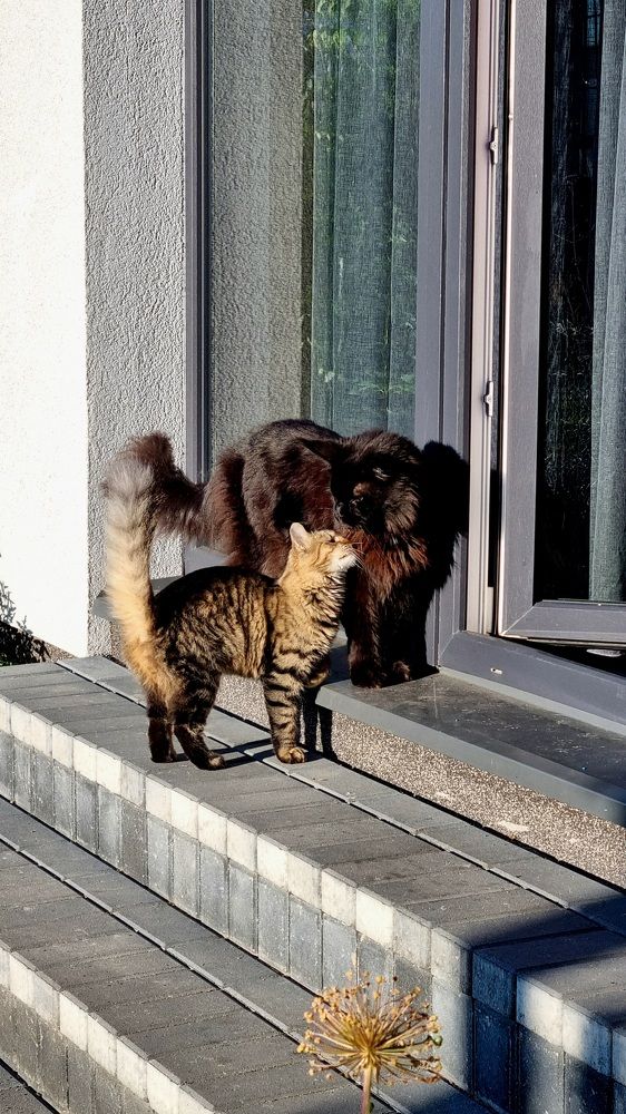 Photograph by Elena Tamošauskaite