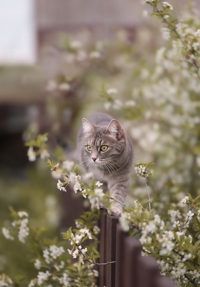 Photograph by Iryna Matvieienko