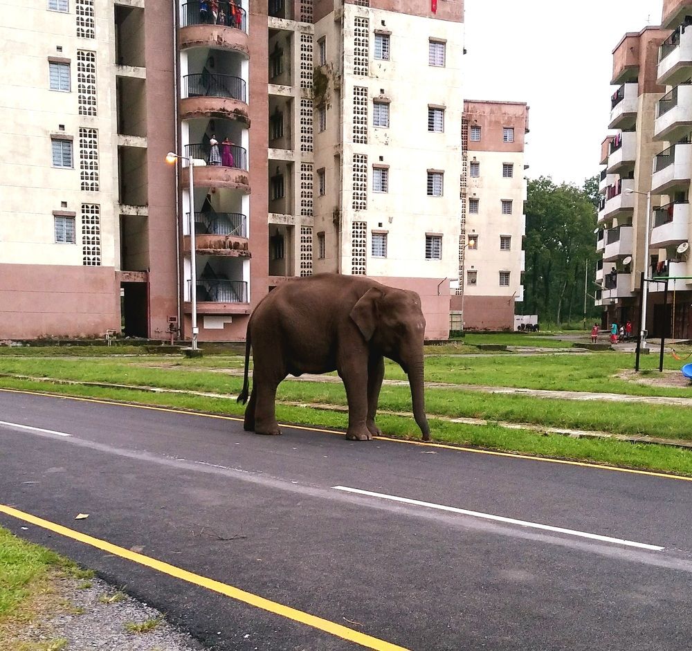 Photograph by Rahul Raman