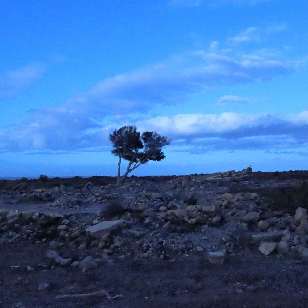 Photograph by Katiaponzini