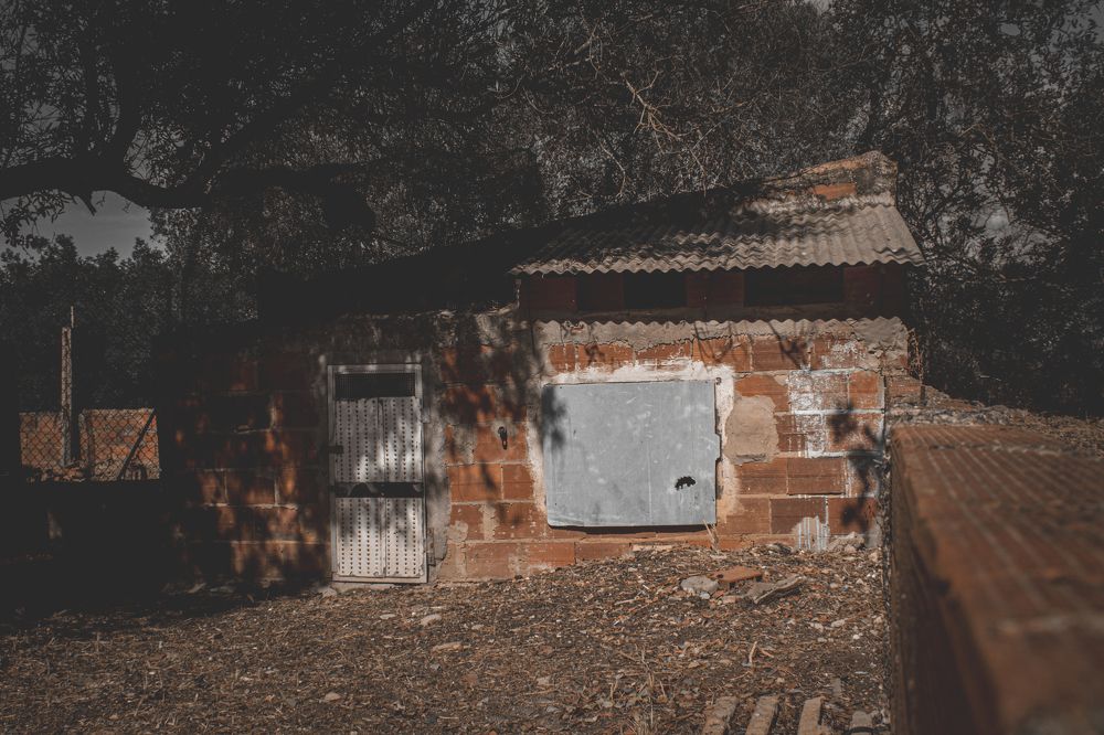 Photograph by Fábio Martins