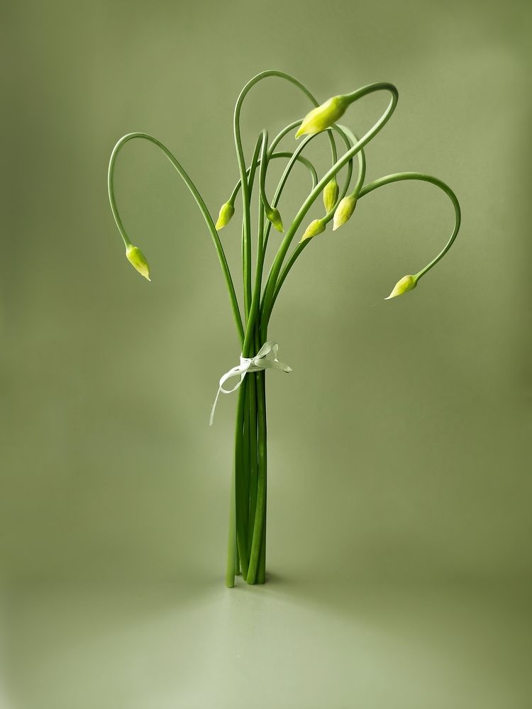 Photograph by Татьяна Шахова