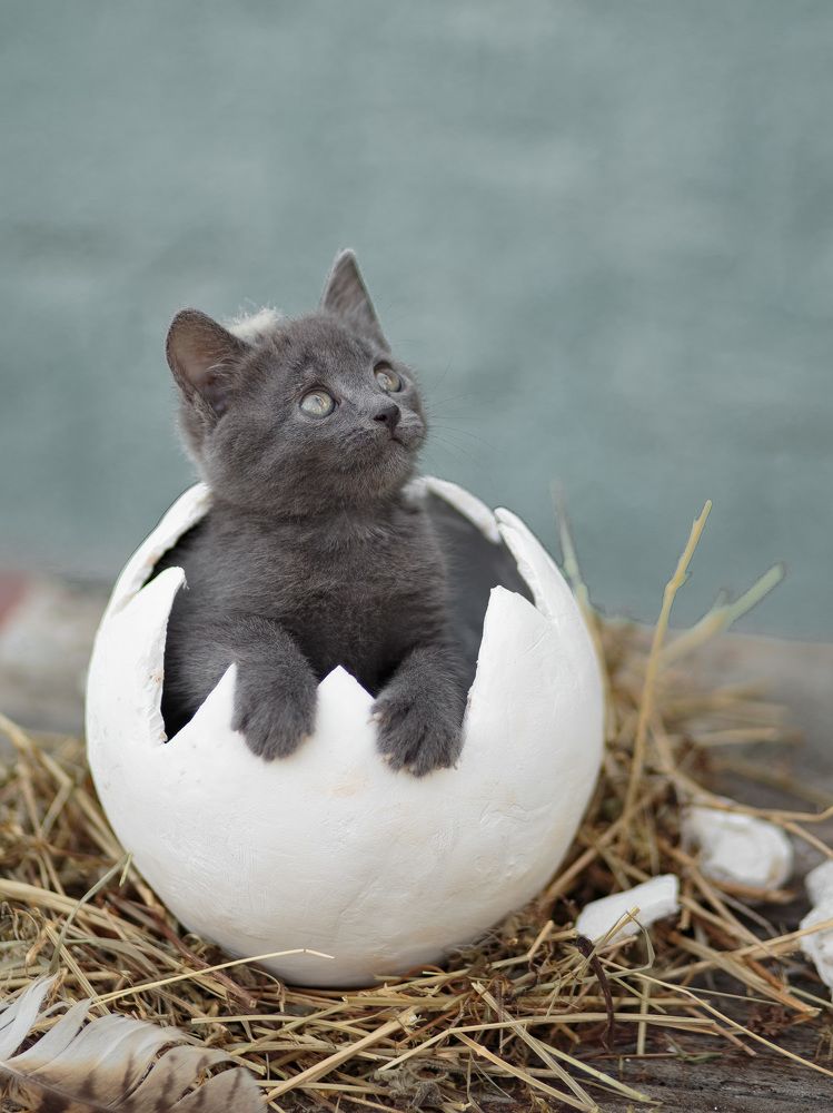 Photograph by Iryna Matvieienko