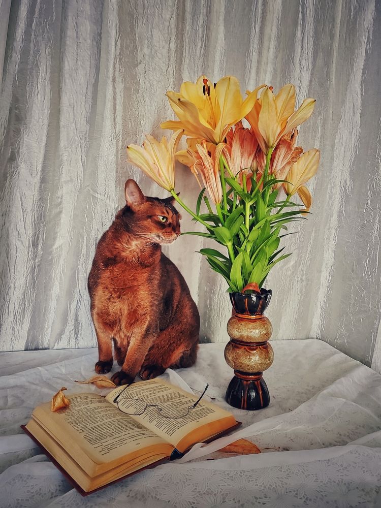 Фотография автора Татьяна Егорова