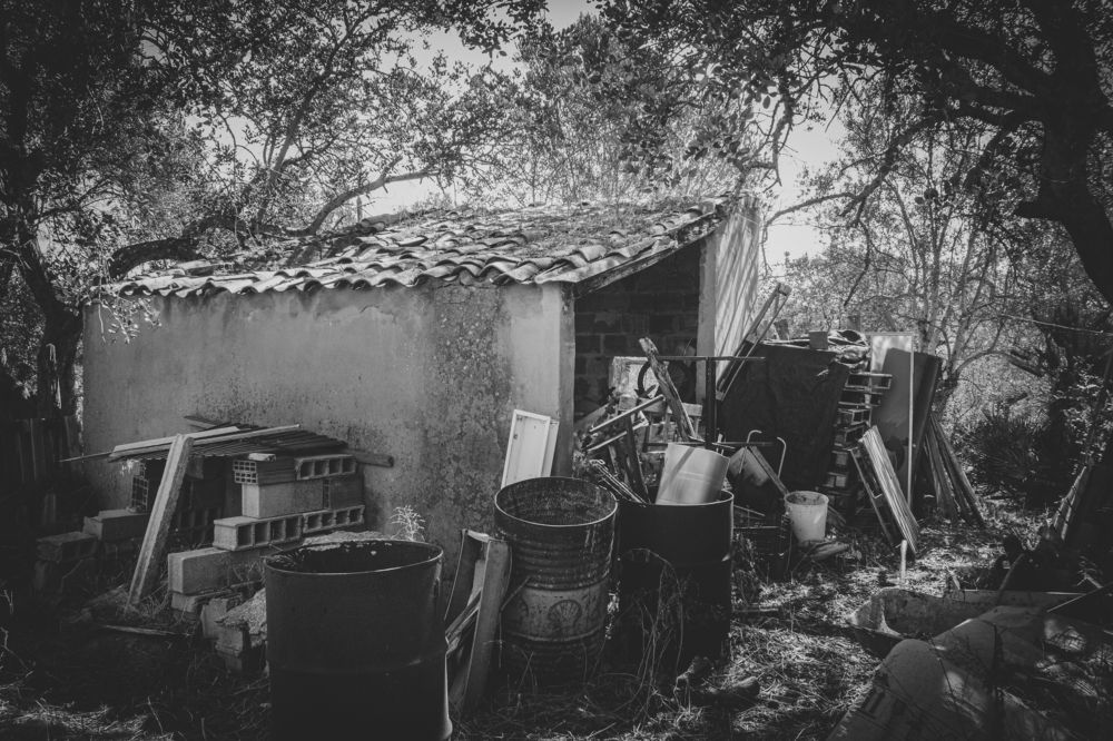 Photograph by Fábio Martins